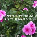 스포코리아 이미지