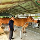 서성목장 이미지