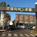 코델리아 민박 이미지