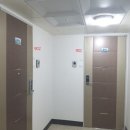 차성남로 이미지