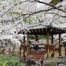 대흘보건진료소 이미지