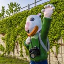 ㅊㅊ[춘천-청춘] 이미지