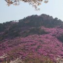 아름따다 이미지