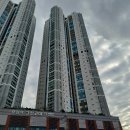 센텀코아 이미지