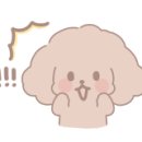 오름조랑