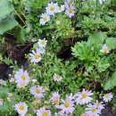 지리산 순심이네 캠핑 민박 이미지