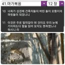 모퉁이돌 이미지