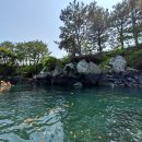 서귀포 가볼만한 곳) 쇠소깍 카약체험, 엑티비티 추천, 제주도 즐길거리, 카약 가격과 운영시간, 올레길...