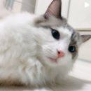 엘엔케이종합관리