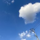 초록약국 | 3/9~4/9 뒤죽박죽 한 달 일상