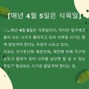 4월 5일(수) 오늘은 '청명(淸明)'이자 '식목일(植木日)' 이미지