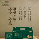 엔큐엔에이 이미지