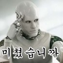 휴먼