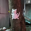 우2동-7 | 2025.12.2.-12.5. 부산사람의 눈(Snow) 넋두리와 수족냉증