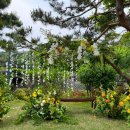 [시민제안강좌]  한국 무용(한손 부채춤) | 서울 야외 한옥 웨딩 장소 추천 - 삼청각 (동상이몽 박하나 김태술 결혼식 명소)