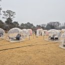 자미트리아울렛 - 사천시 | [여주] 크리스마스 로컬 마켓 방문 후기