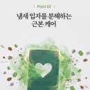 바이오포레스트 | [리뷰] 피톤치드 방향제 추천 | 숲쏙 피톤치드 멀티패드 집들이선물·이사선물 후기