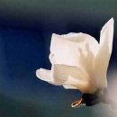 원곡1로 이미지