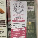 남동35 | 인천 남동구 논현동 속눈썹펌 잘하는 곳｜'비비채움 래쉬 논현점' 후기