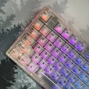래피드웍스 | 베놈 80 HE RGB 주문제작 후기｜투명 키캡으로 완성한 감성 커스텀 키보드