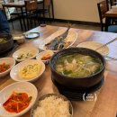 동해빌딩 | 선릉역횟집 호미곶막회물회 전문점 동해자연산 생대구탕 런치후기