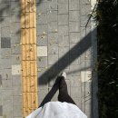 이진정형외과의원 이미지