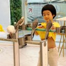 리프패럿 롯데마트 광복점 이미지