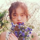 민서 카카오 검색결과