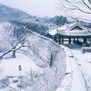 눈