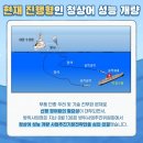 청상어 이미지