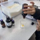 반려동물을 위한 천연아로마제품 원데이 클래스 | 반려동물과 함께쓰는 캔들 원데이 클래스 후기