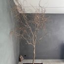 양산제로 이미지