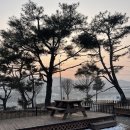 산천어축제 다녀온 뒤 넘 만족했던 화천펜션! 다가가다한옥 내돈내산 후기:D