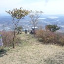 옥산주유소 이미지