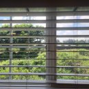 제주더힐링하우스 이미지