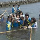 양지-3317 이미지