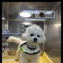 신동물병원 이미지