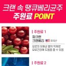 땡큐바디