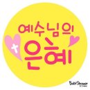 수가성 이미지