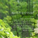 새소리농장 이미지