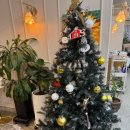 혜인프라자 앞 | 범계미용실 모카브라운으로 예쁘게 꽃단장!