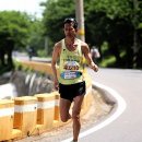 노량 해안도로길 이미지