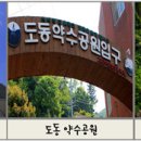 인동네거리(하나은행 앞) 이미지