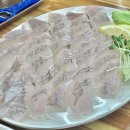 보정동카페거리 맛집 속초종합어시장 죽전점 우럭회와 알탕 후기