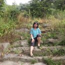 금화오리농장 이미지