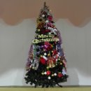 KBS제주방송총국 이미지