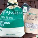 자람주머니 이미지