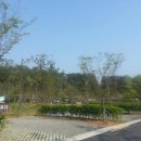 청암산오토캠핑장 이미지