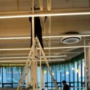 베버리 독스 이미지