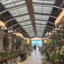 (주)마리투어 | 인천 부평 빌라드마리 웨딩홀 투어 솔직후기 / 2026년 하반기 상담 (계약 o, 견적 공유 o) (사진...